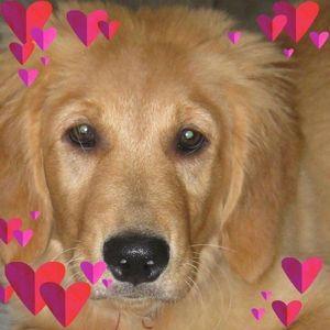 Meet your Posher, Eva